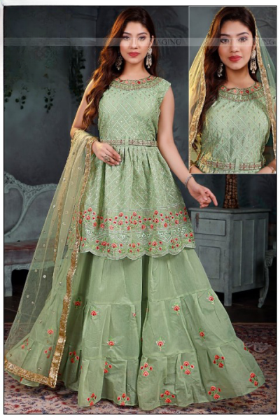 FANCY GOWN GHAGRI STYLE
