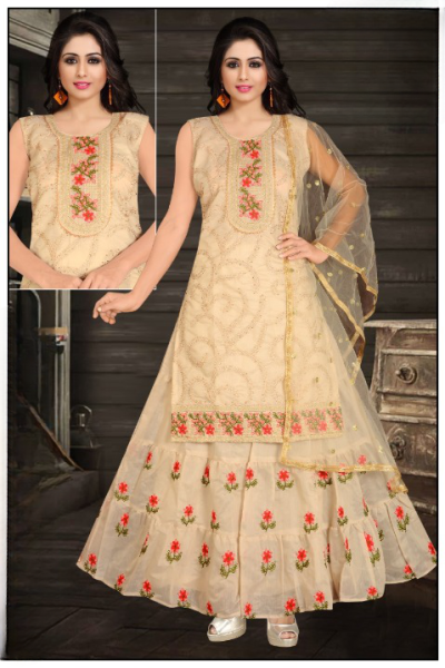 FANCY GOWN GHAGRI STYLE